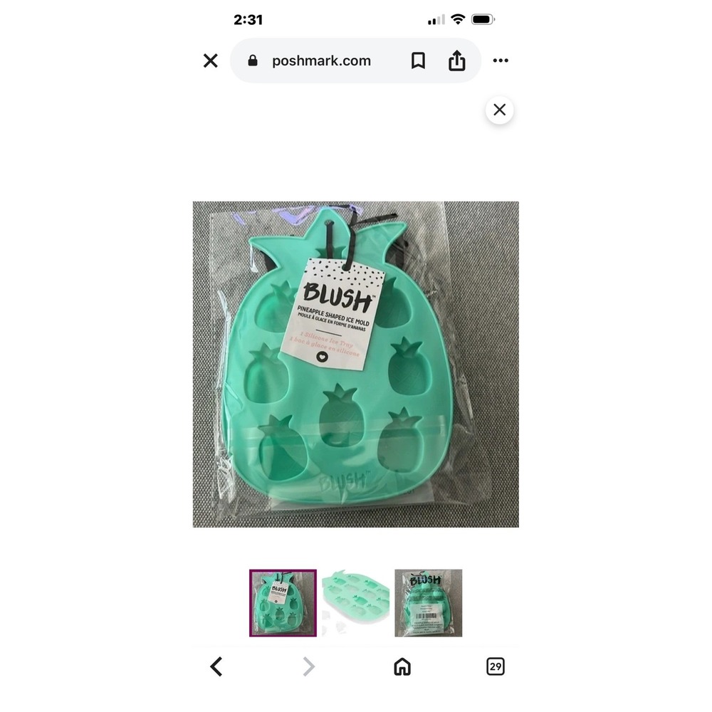 Blush Silicone Pineapple Ice Cube Tray Mold Makes 12 Ice Cubes Aqua New Fun - Picture 5 of 5